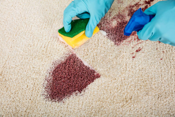 GET EXPERT STAIN REMOVAL WITH OUR CARPET CLEANING COMPANY